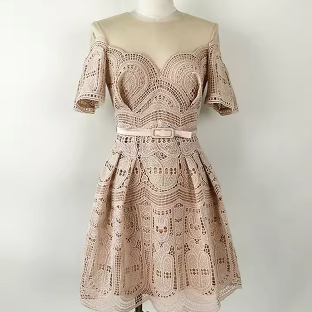 Elegant Lace Dress